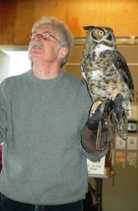 horned owl