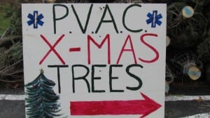 ChristmasTrees4
