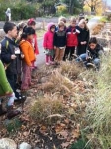 Haldane kindergartners working in the garden (Photo courtesy of Haldane)