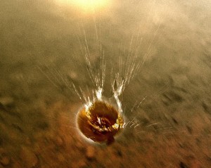 'Splash' by Theo Bates