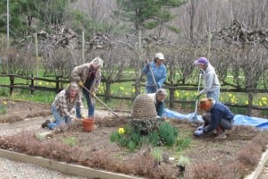 Philipstown Garden Club members working in the Boscobel herb garden on a Tuesday morning. Photo courtesy Phiipstown Garden Club