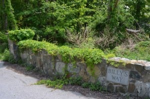 Entrance to Billy's Way. Photo by J. Tao