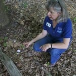 Pam Golben takes a ground temperature reading. (Photo by K.E. Foley)