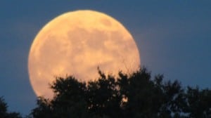 Moonrise at the barn dance was spectacular.