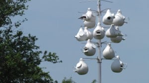 The 'gourd rack' purple martin house at Glynwood. 