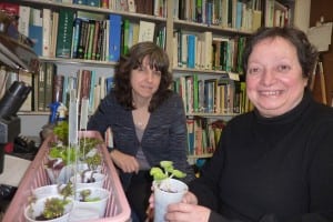 From left, Jennifer Stengle and Dianne Olsen, educators and community leaders with the Cornell Cooperative Extension office in Putnam County (Photo by P. Doan)