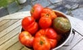 Roots and Shoots: How Homegrown Is Necessary? Roots and Shoots: How Homegrown Is Necessary?