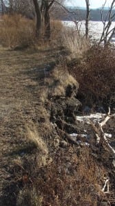 The $75,000 pilot project will detail methods for fighting shoreline erosion that threatens Dockside Park.