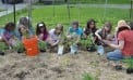 Master Gardeners in the Making Master Gardeners in the Making