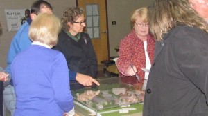A 3D conceptual model provided by developer Paul Guillaro drew a lot of attention prior to the start of the public hearing.