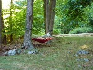 Low maintenance lawn practices leave time for appreciating a hammock on a summer day. (Photo by P. Doan)