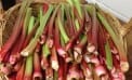 Roots and Shoots: Visual Interest and Easy Care with Perennial Vegetables Roots and Shoots: Visual Interest and Easy Care with Perennial Vegetables