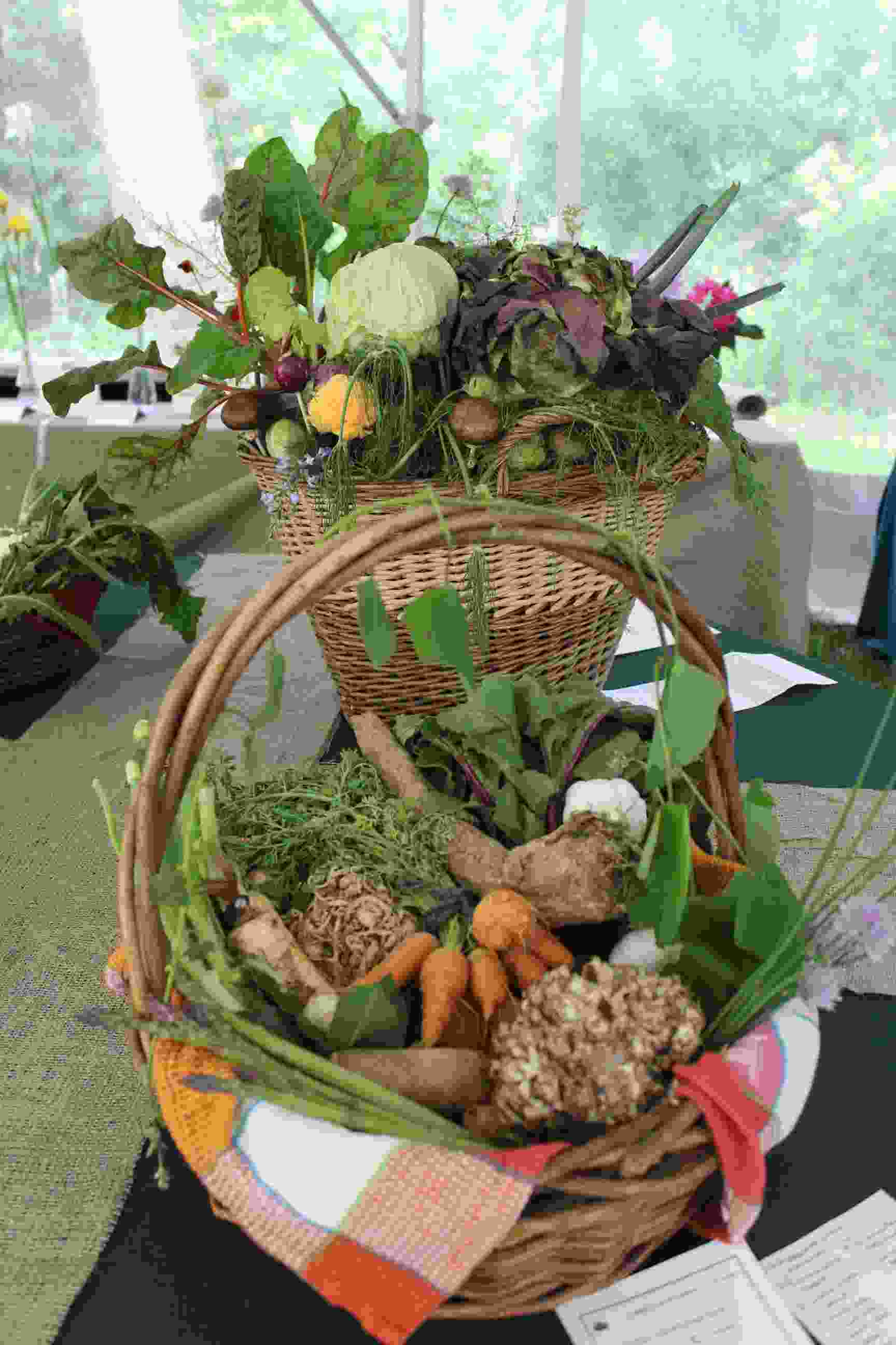 Philipstown Garden Club Flower Show IMG_0007