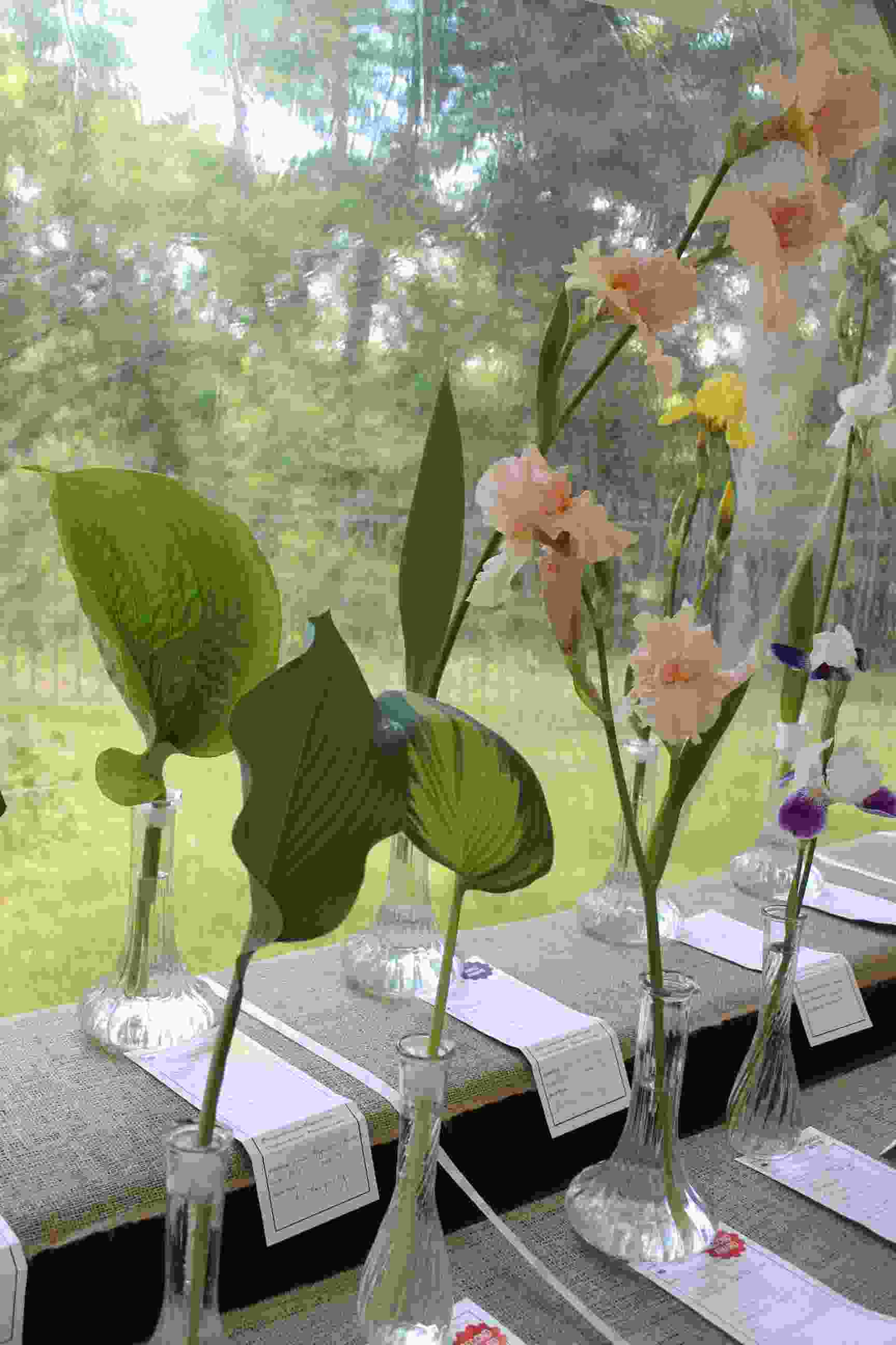 Philipstown Garden Club Flower Show IMG_0011