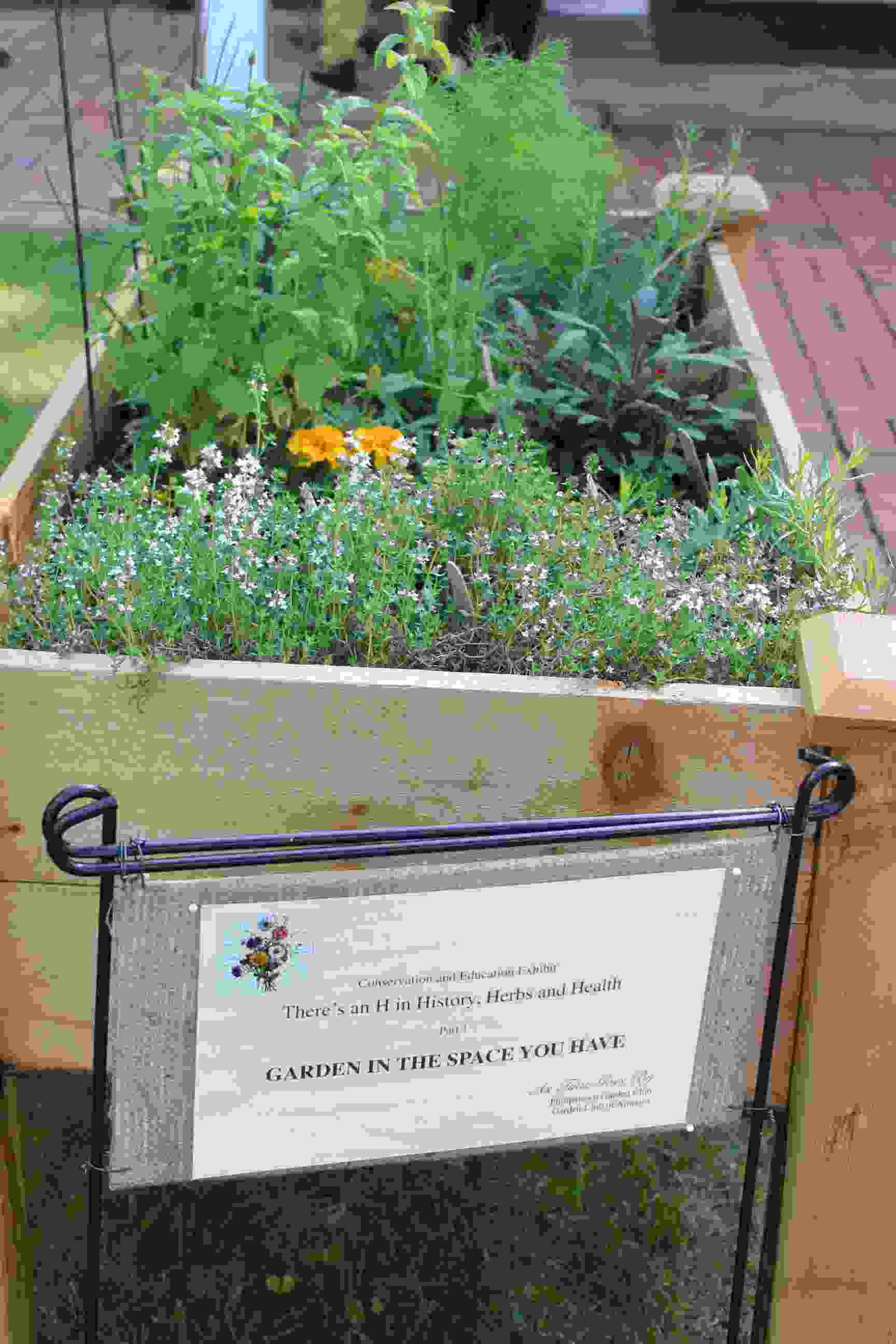Philipstown Garden Club Flower Show IMG_9962