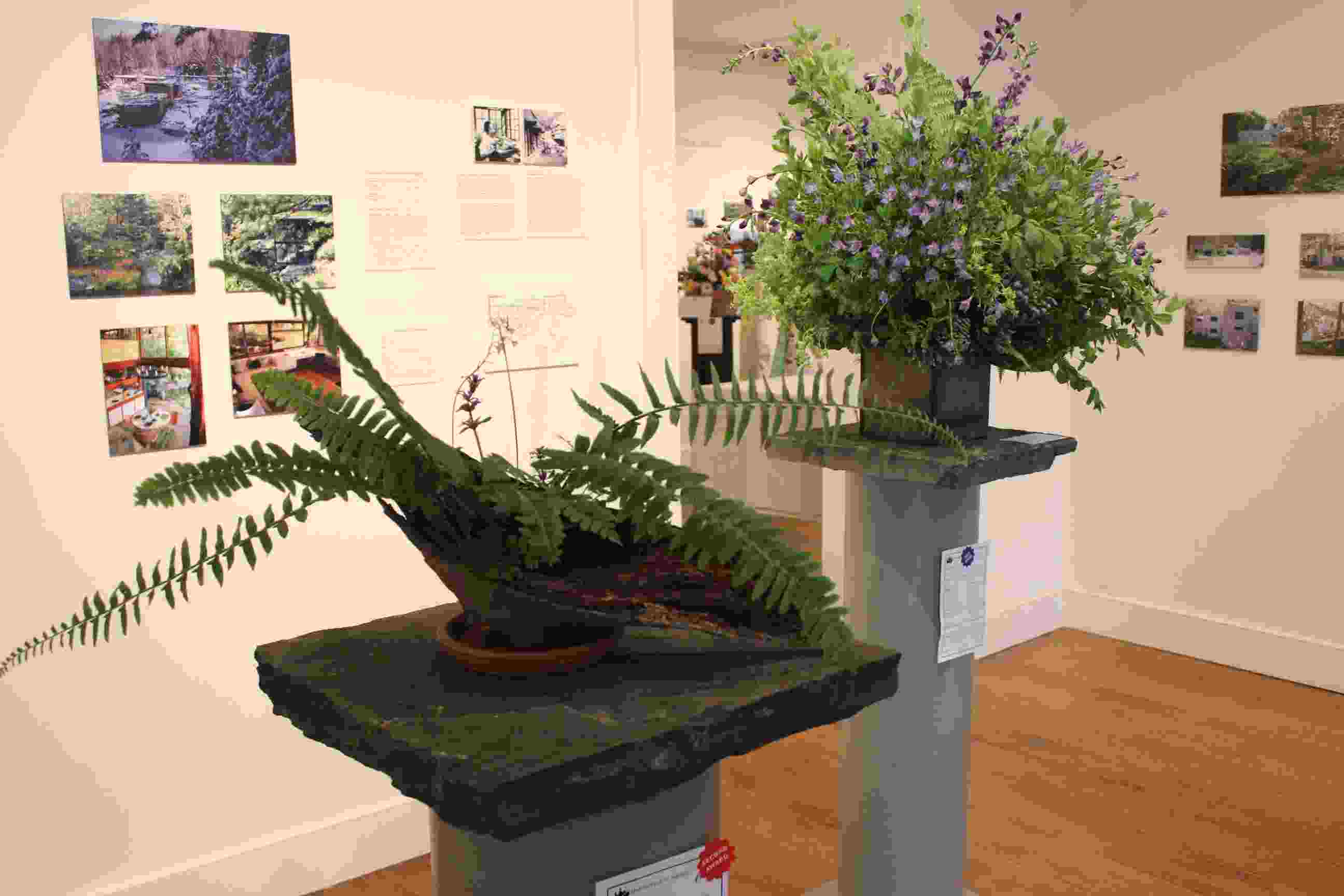 Philipstown Garden Club Flower Show IMG_9990
