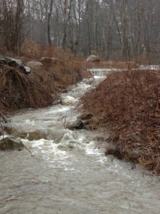 Two residents called the Town Board's attention to flooding in the Upland Drive area, shown here. Photo courtesy of Kathleen Kourie