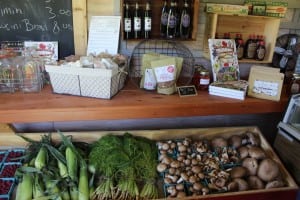 Some of what's for sale, including these mushrooms, and the corn, not grown at Glynwood, but comes from nearby.