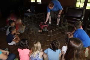 Carl Heitmuller illustrates his talk with a live rabbit, this one a Netherland Dwarf.  