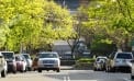 Main Street Merchants Respond (Video) Main Street Merchants Respond (Video)