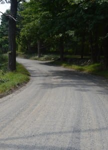 The debate over whether or not to pave a portion of East Mountain Road South has begun.