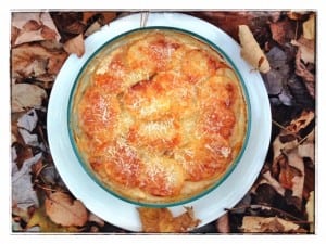 Gratin Forestiere