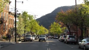 The Public Tree Law will apply only to village-owned trees such as those along Main Street. Trees on private property will not be affected.