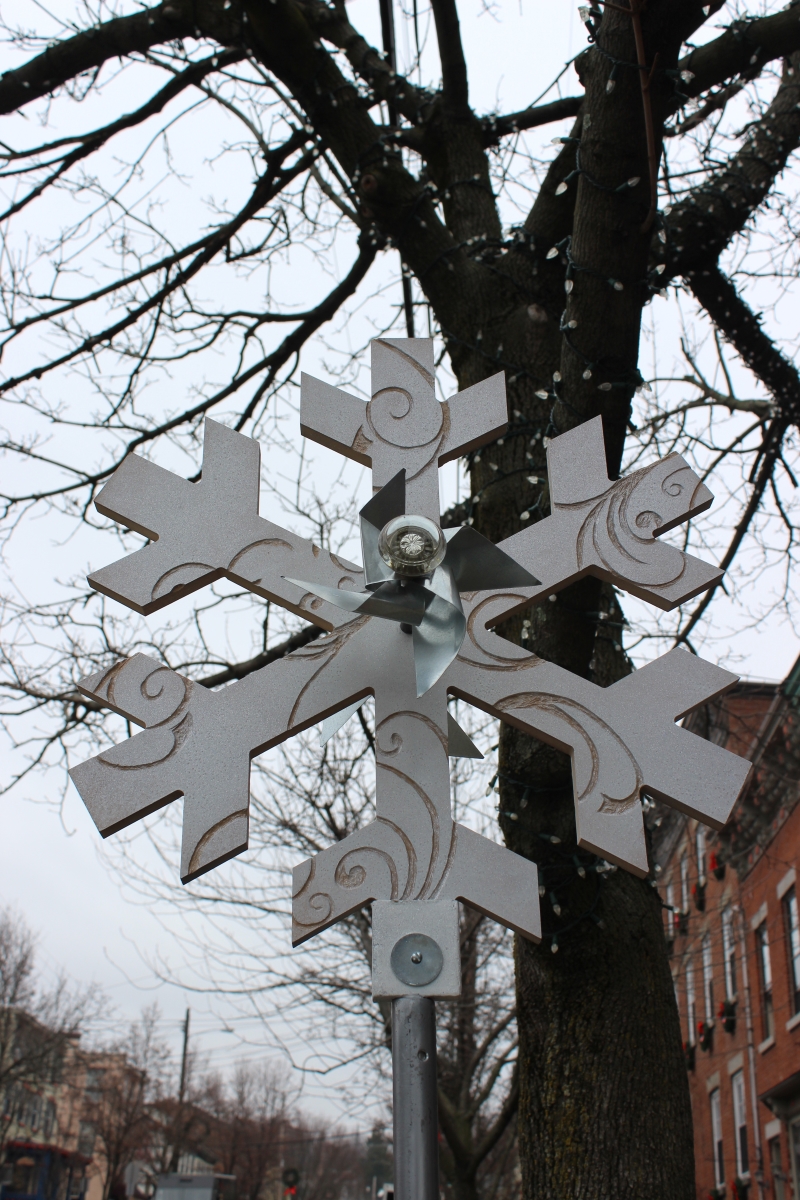 Snowflakes IMG_1026