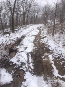 Tire tracks on Mount Beacon in late March