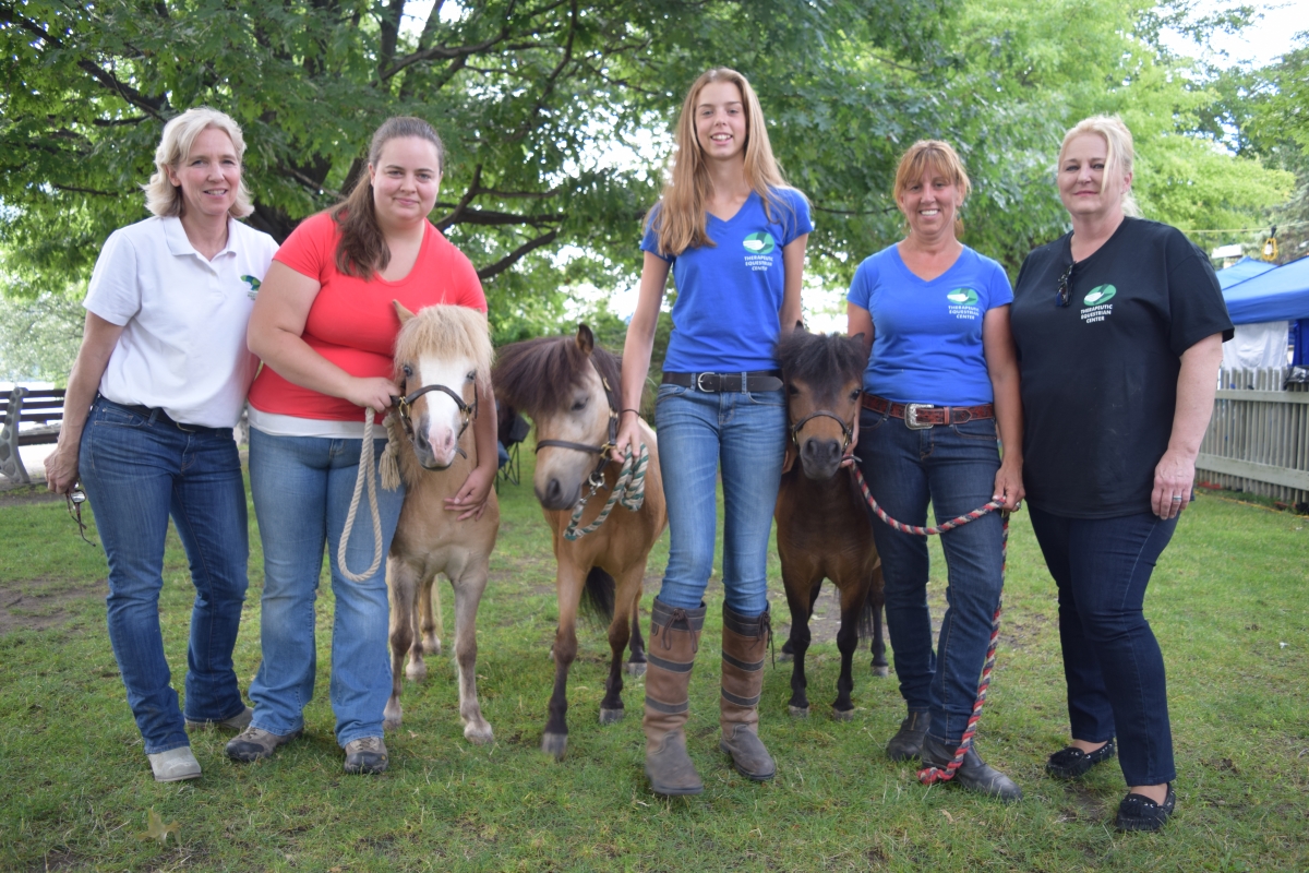 Mini Horses