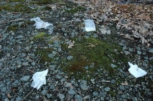 Potential pollution? What appeared to be toilet paper disintegrated in 2007 in oozing ground along the path that runs through the Nelsonville woods, a block off Main Street.