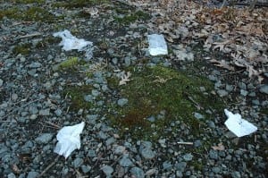  Potential pollution? What appeared to be toilet paper disintegrated in 2007 in oozing ground along the path that runs through the Nelsonville woods, a block off Main Street. 