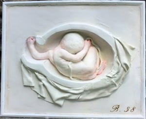 "In Utero," by Heidi Ettinger