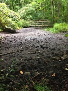 This pond on East Mountain dried up in August. (Photo by P. Doan) 