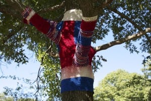Tree-sonist Behavior by Karen Madden