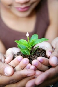 Giving thanks for a plentiful harvest (File photo) 