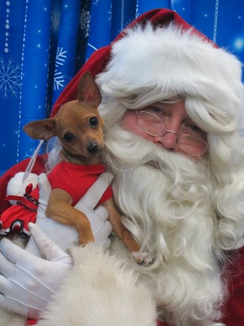 santawithbelle