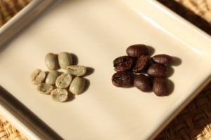 Before and after — green coffee beans and freshly roasted beans (Photo by M.A. Ebner)