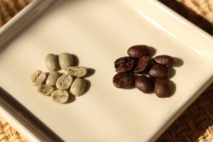 Before and after — green coffee beans and freshly roasted beans (Photo by M.A. Ebner)