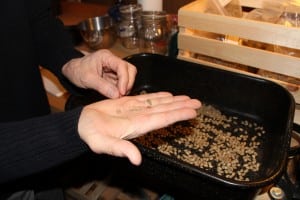 Charles Day of Cold Spring inspects a tray of green beans in his home roasting process. (Photo by M.A. Ebner)