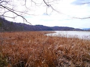 Constitution Marsh (photo by J. Simms)