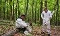 New Strategies in the War Against Ticks New Strategies in the War Against Ticks