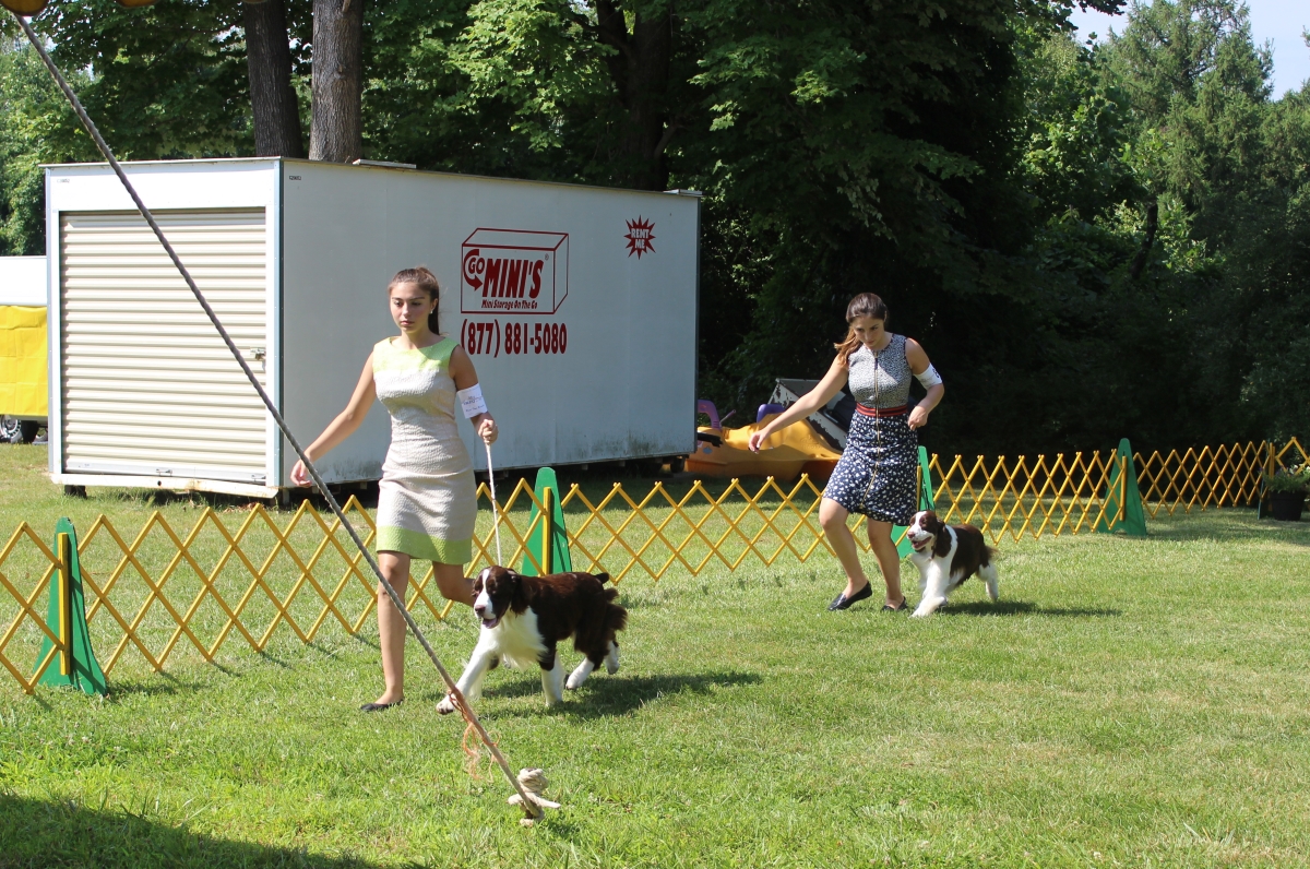 Dog Show IMG_4863