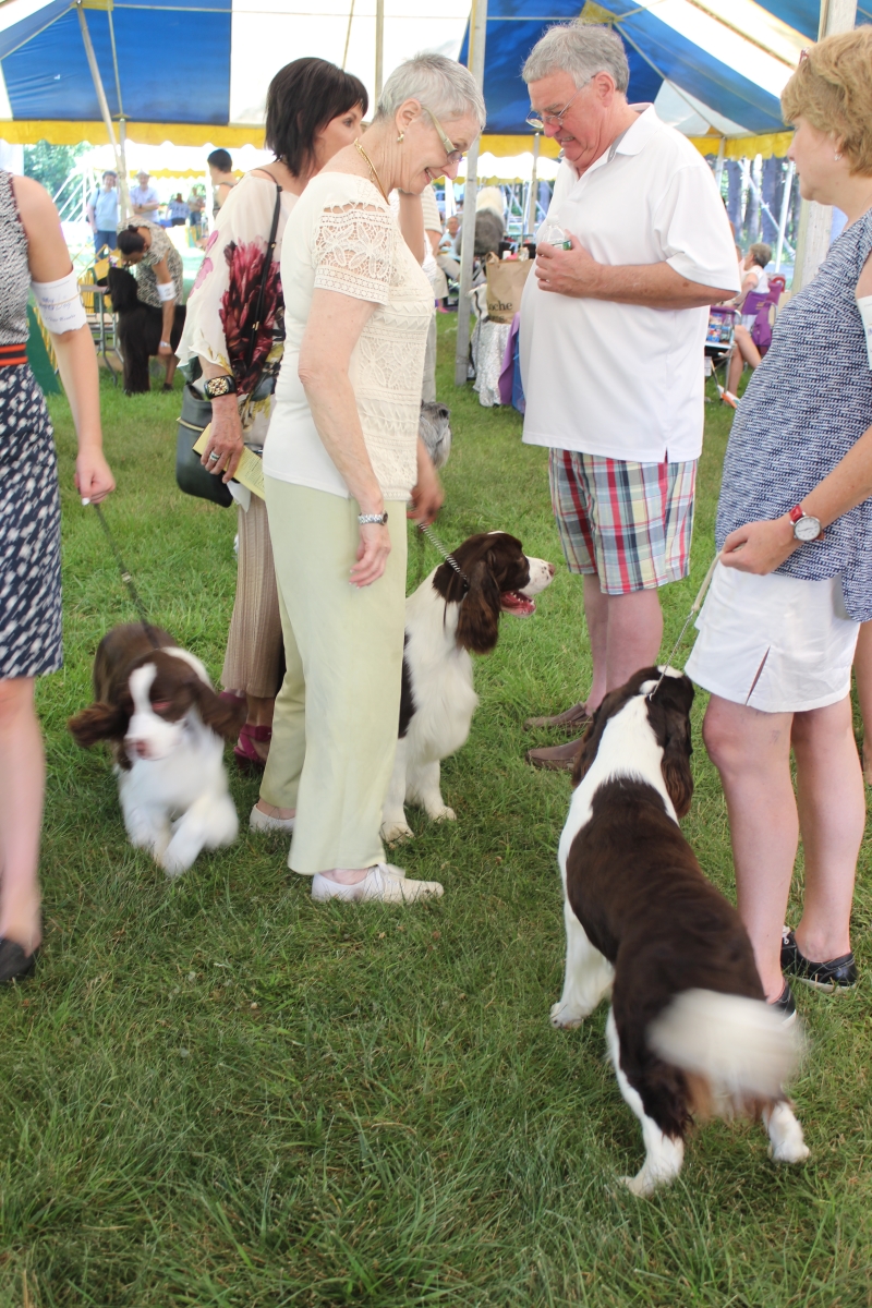 Dog Show IMG_4869