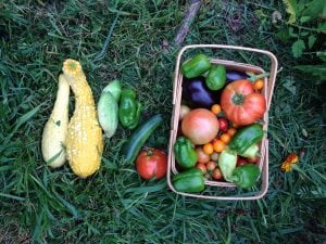 Now that the summer harvest is peaking, it's time to consider what you'll be eating this fall. (Photo by P. Doan)