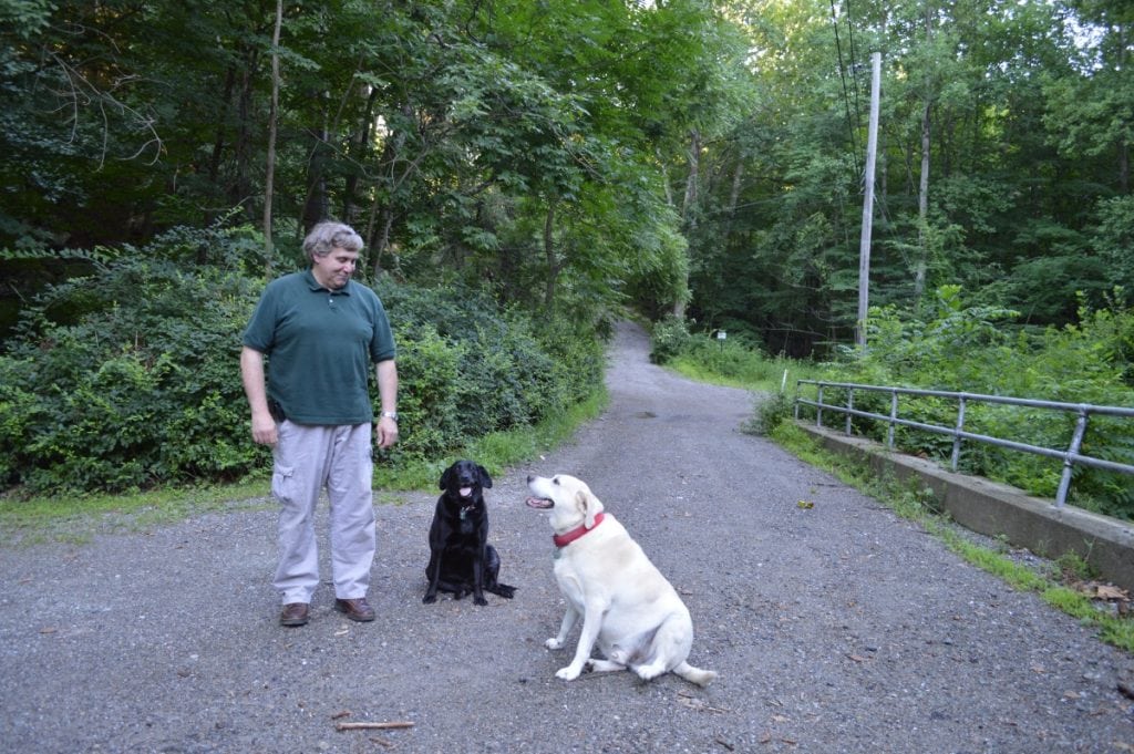 Horton Road resident Warren Eggeter watches dogs Daisy and Max carefully after storms swell Clove Creek, at right below railing. The water "sounded like airplanes" he said.