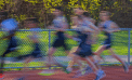 Beacon Track (Photos) Beacon Track (Photos)
