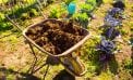 Roots and Shoots: What to Feed the Food? Roots and Shoots: What to Feed the Food?