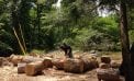 Roots and Shoots: From Mess to Mounds Roots and Shoots: From Mess to Mounds