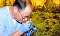 Medical Marijuana Takes Off Medical Marijuana Takes Off